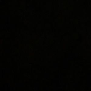 Meet your Posher, Logan